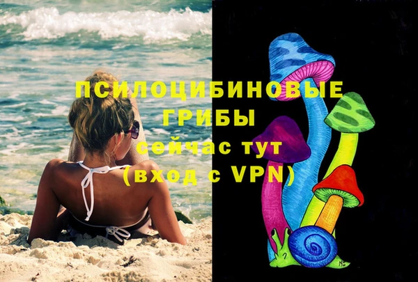 a pvp Горняк