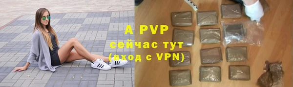 a pvp Горняк