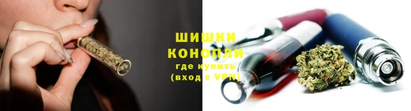 гидропоника Горно-Алтайск