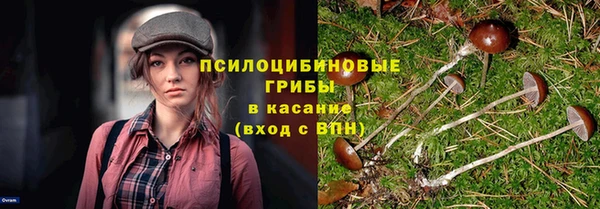 a pvp Горняк