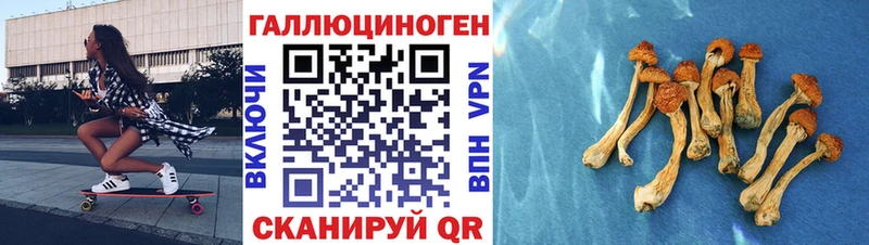Галлюциногенные грибы мухоморы  MEGA ТОР  Гусиноозёрск 