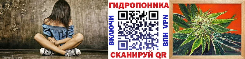 ОМГ ОМГ онион  Гусиноозёрск  Канабис индика 
